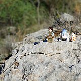 FigBarf Week (04-10 &Iota;&alpha;&nu; 2021)
